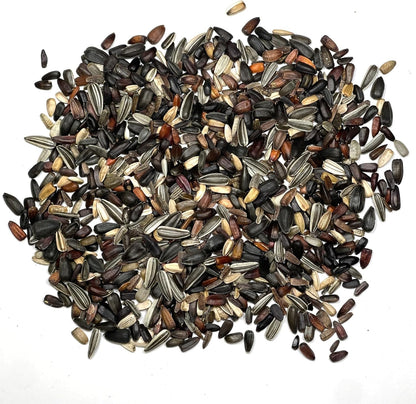 Seed Needs Sunflower Seeds for Planting The Original Crazy Blend | 1 Ounce 15+ Heirloom Varieties