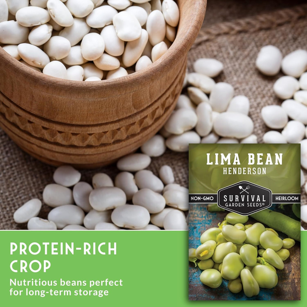 Lima Bean Seeds for Planting – Henderson Butter Bean Seeds for Gardens & Classroom Science