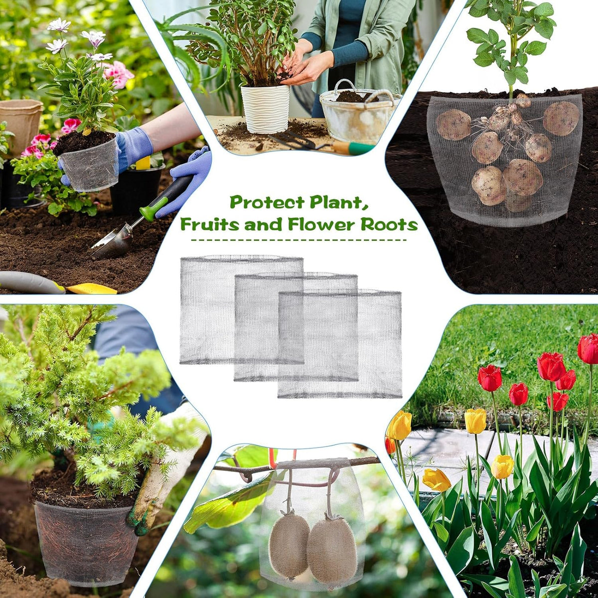 50 Pcs 1 Gallon Gopher and Vole Wire Mesh Basket Bulk Stainless Steel Plant Root Protector Gopher