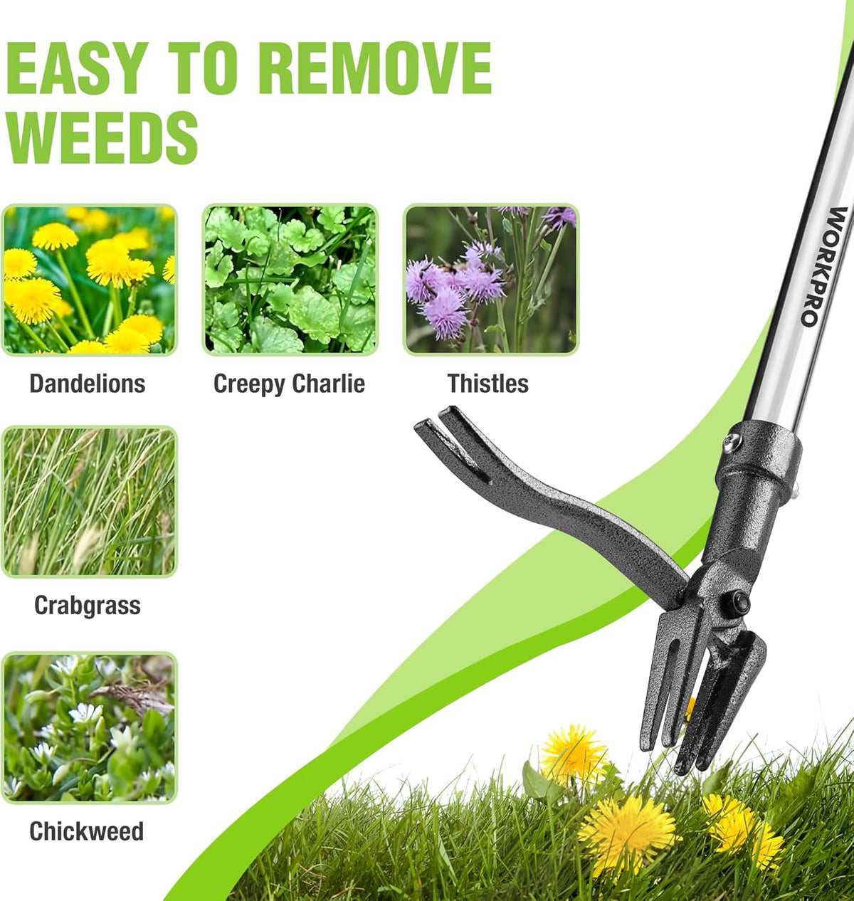 WORKPRO Weed Puller Tool with Long Adjustable Handle (33", 46"), Stand Up Heavy Duty Weed Remover