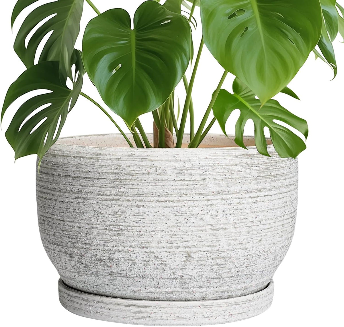 SQOWL Ceramic Flower Pots - 10 Inch Plant Pot Indoor with Drainage Hole and Saucer, Modern Ceramic