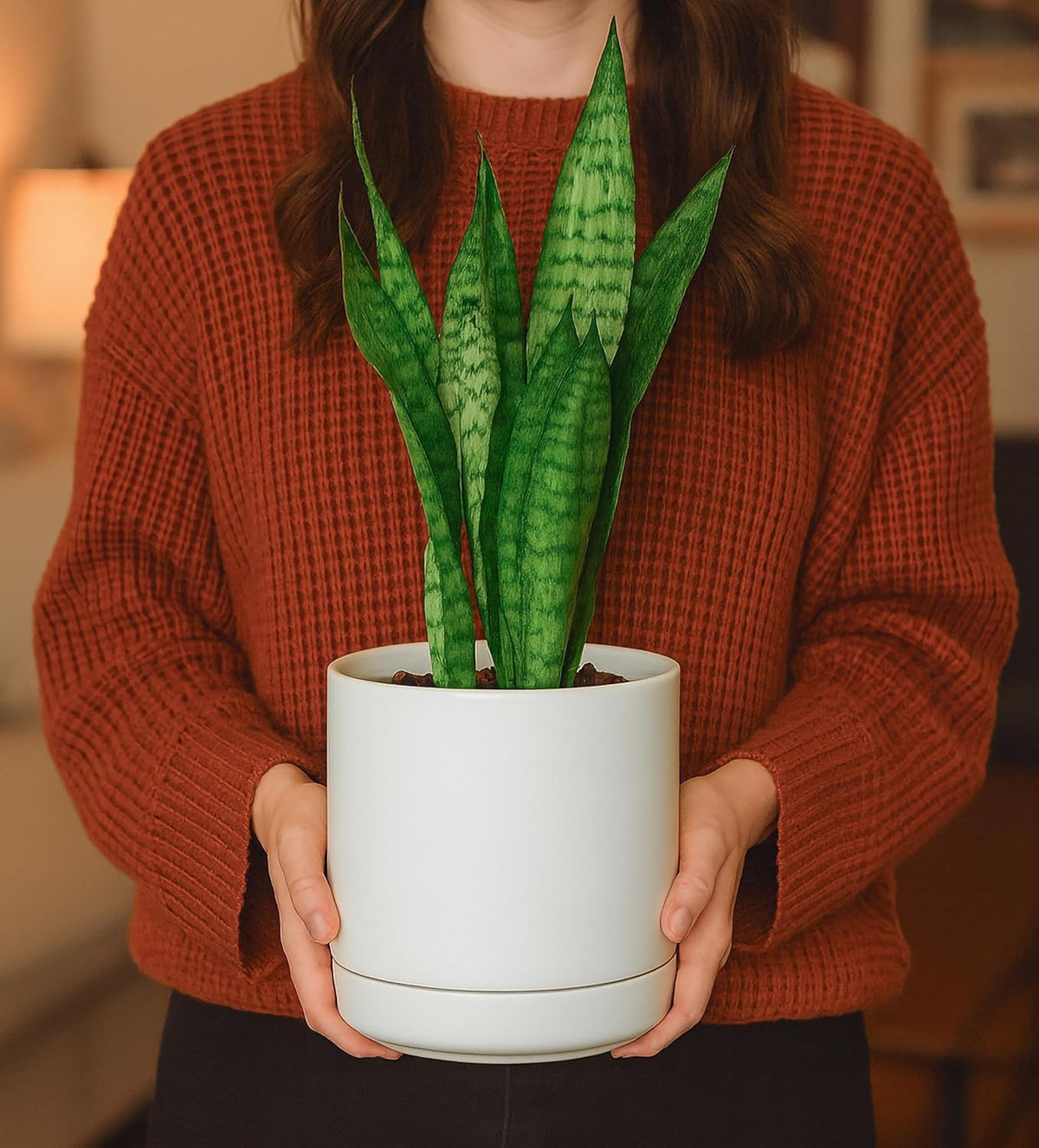 D'vine Dev 6.5 Inch Ceramic Planter Pot with Drainage Hole and Saucer, Indoor Cylinder Round Flower