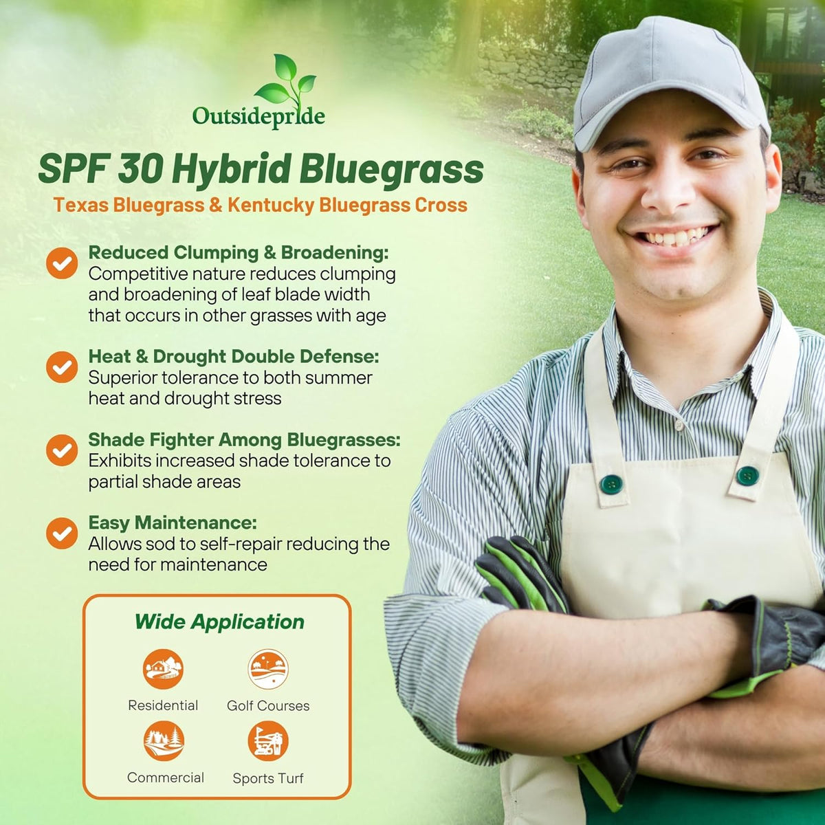 Outsidepride SPF-30 Hybrid Bluegrass Seeds - 5 lbs. Heat & Drought Tolerant, Texas Bluegrass &