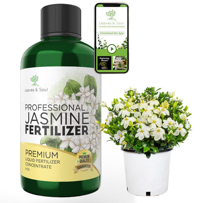 Professional Liquid Jasmine Fertilizer | 3-1-2 Concentrate for Plants and Flowers | Multi-Purpose
