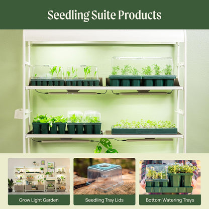 Vego garden Jumbo Seedling Trays Without Lids, 32 Pack Reusable Propagator Growing Starter Tray for
