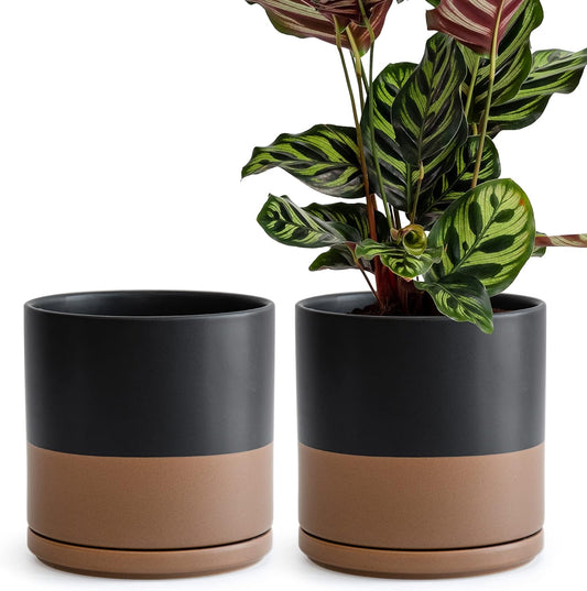 D'vine Dev Set of 2 Plants Pots, 8 Inch Ceramic Planter Pot for Plants with Drainage Hole and