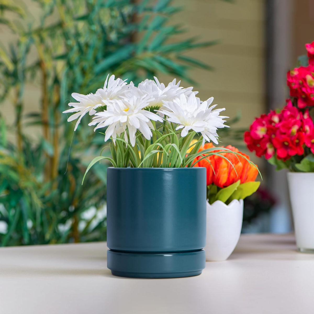 D'vine Dev 4.7 Inch Ceramic Planter Pot with Drainage Hole and Saucer, Indoor Cylinder Round