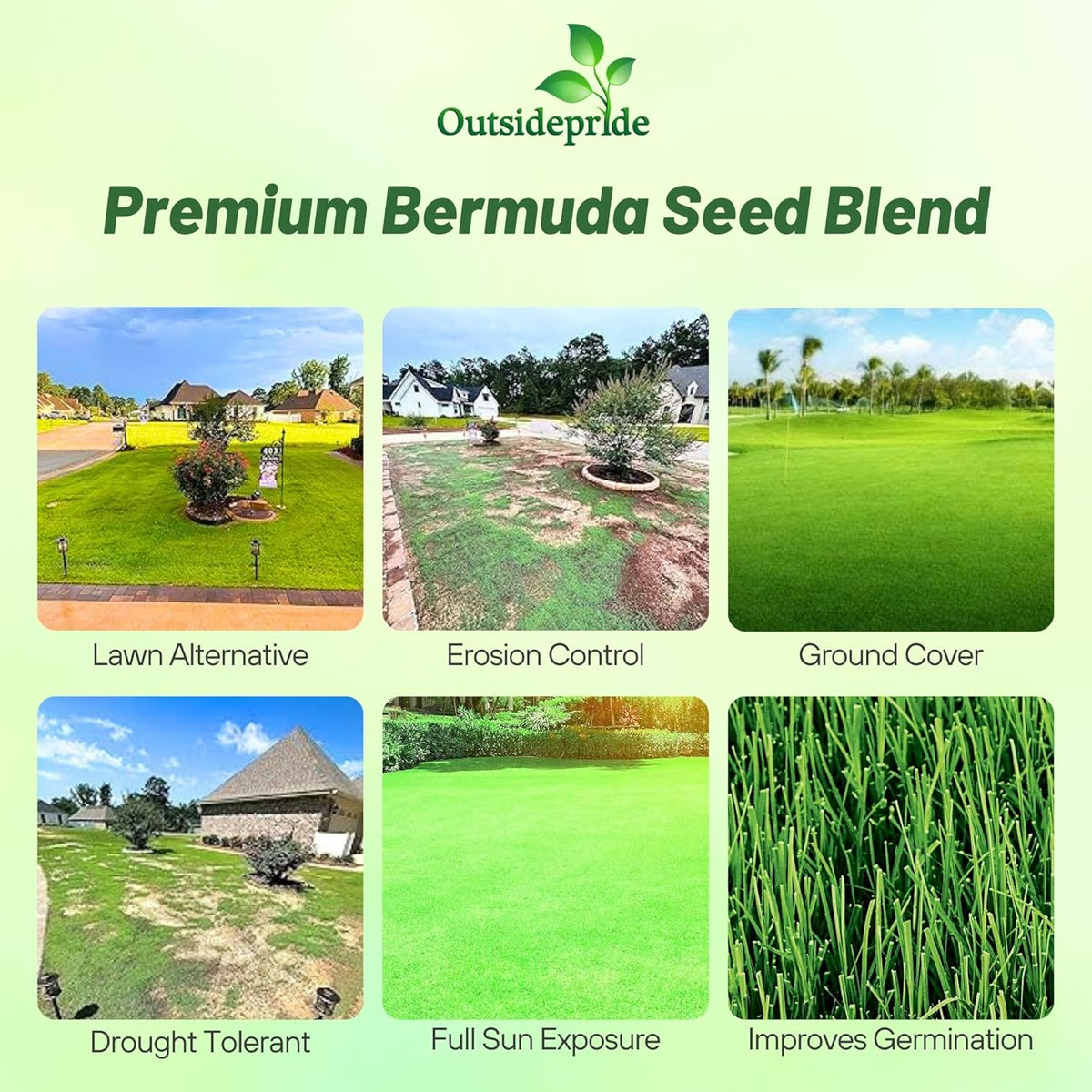 Outsidepride Oasis Bermuda Grass Seed - 10 lbs Warm Season, High Traffic, Heat Resistant