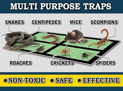 MaxGuard Mini Glue Traps (48 Traps) Non-Toxic Extra Sticky Glue Board Pre-Baited with Fruity Scent
