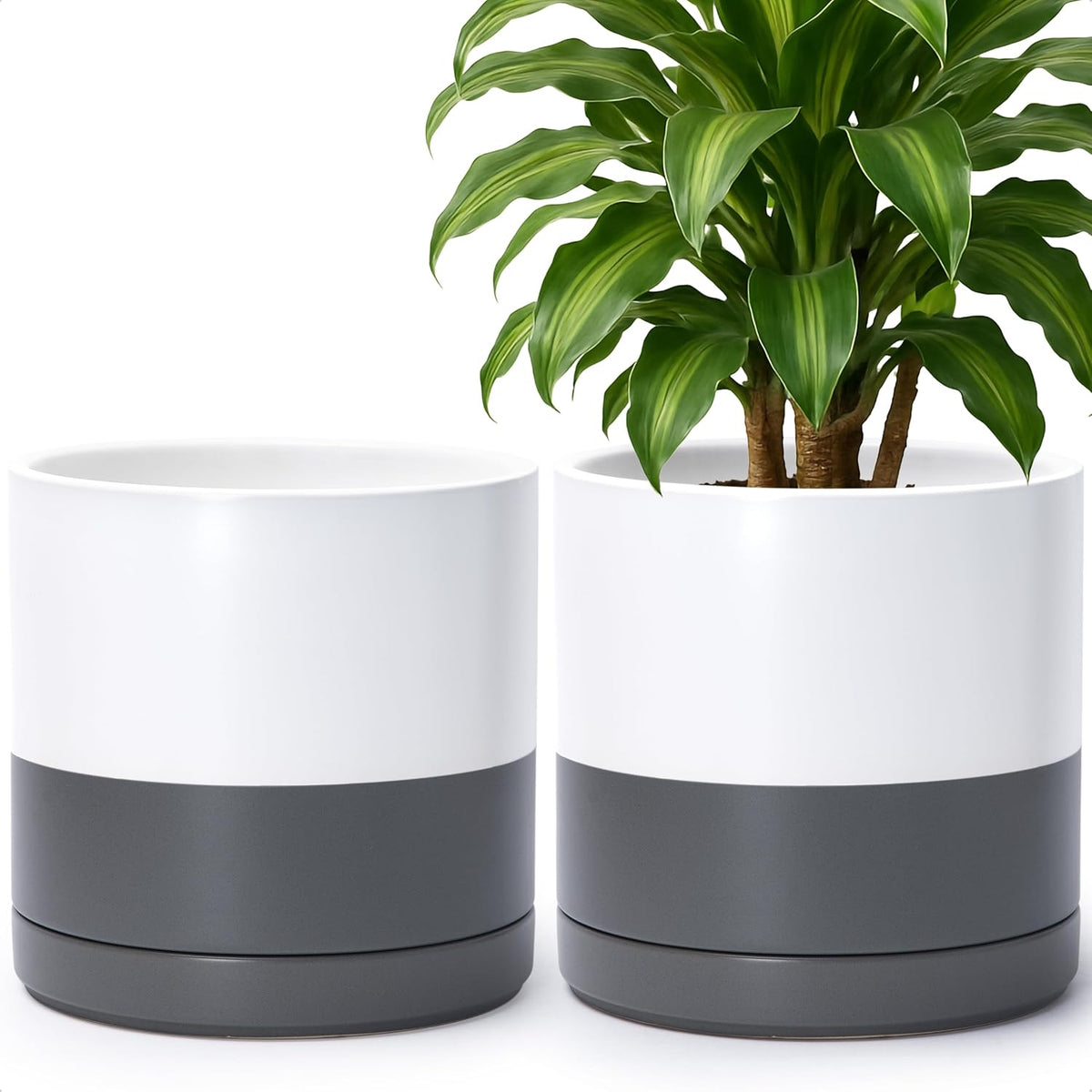 D'vine Dev Set of 2 Plants Pots, 10 Inch Ceramic Planter Pot for Plants with Drainage Hole and