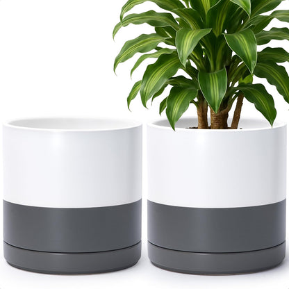 D'vine Dev Set of 2 Plants Pots, 10 Inch Ceramic Planter Pot for Plants with Drainage Hole and