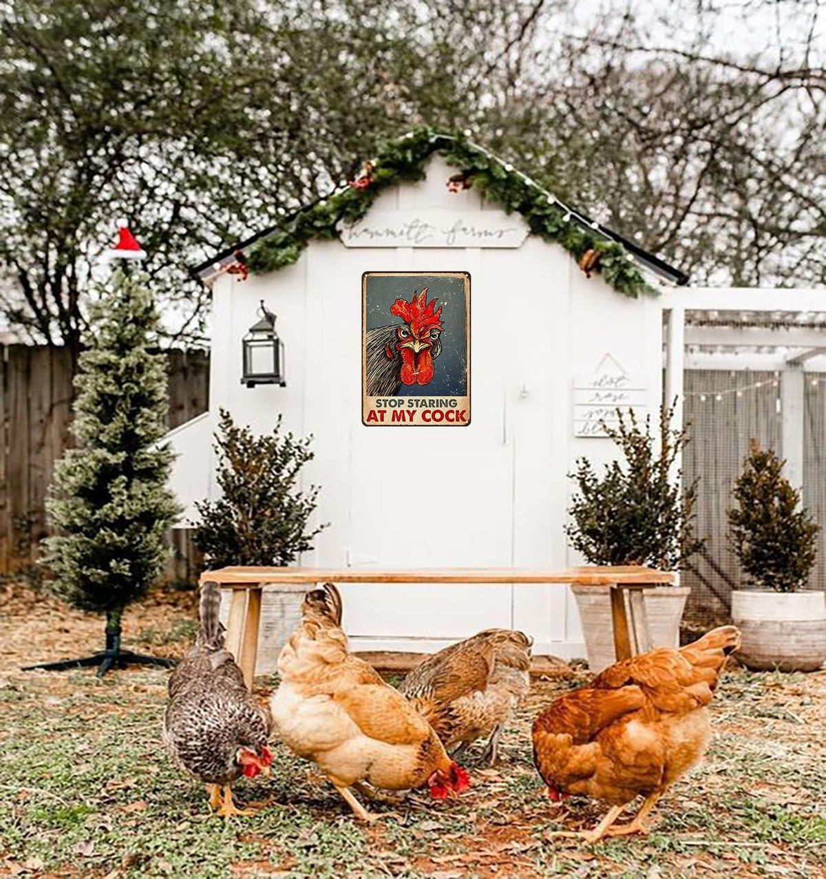 Funny Chicken Stop Staring My Cock Tin Sign for Farm Chicken Coop Farmhouse Kitchen Vintage Wall