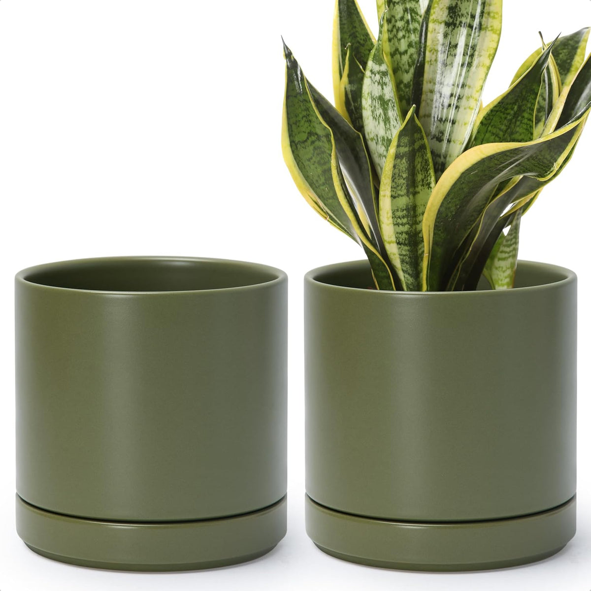 D'vine Dev Set of 2 Plants Pots, 6.5 Inch Ceramic Planter Pot for Plants with Drainage Hole and
