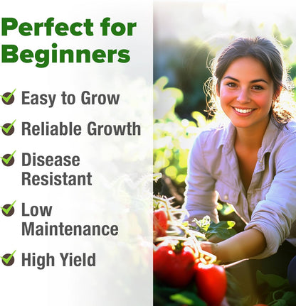 HOME GROWN San Marzano Tomato Seeds – 132 Heirloom, 𝗡𝗢𝗡-𝗚𝗠𝗢, 𝗨𝗦𝗔-𝗦𝗢𝗨𝗥𝗖𝗘𝗗 Seeds