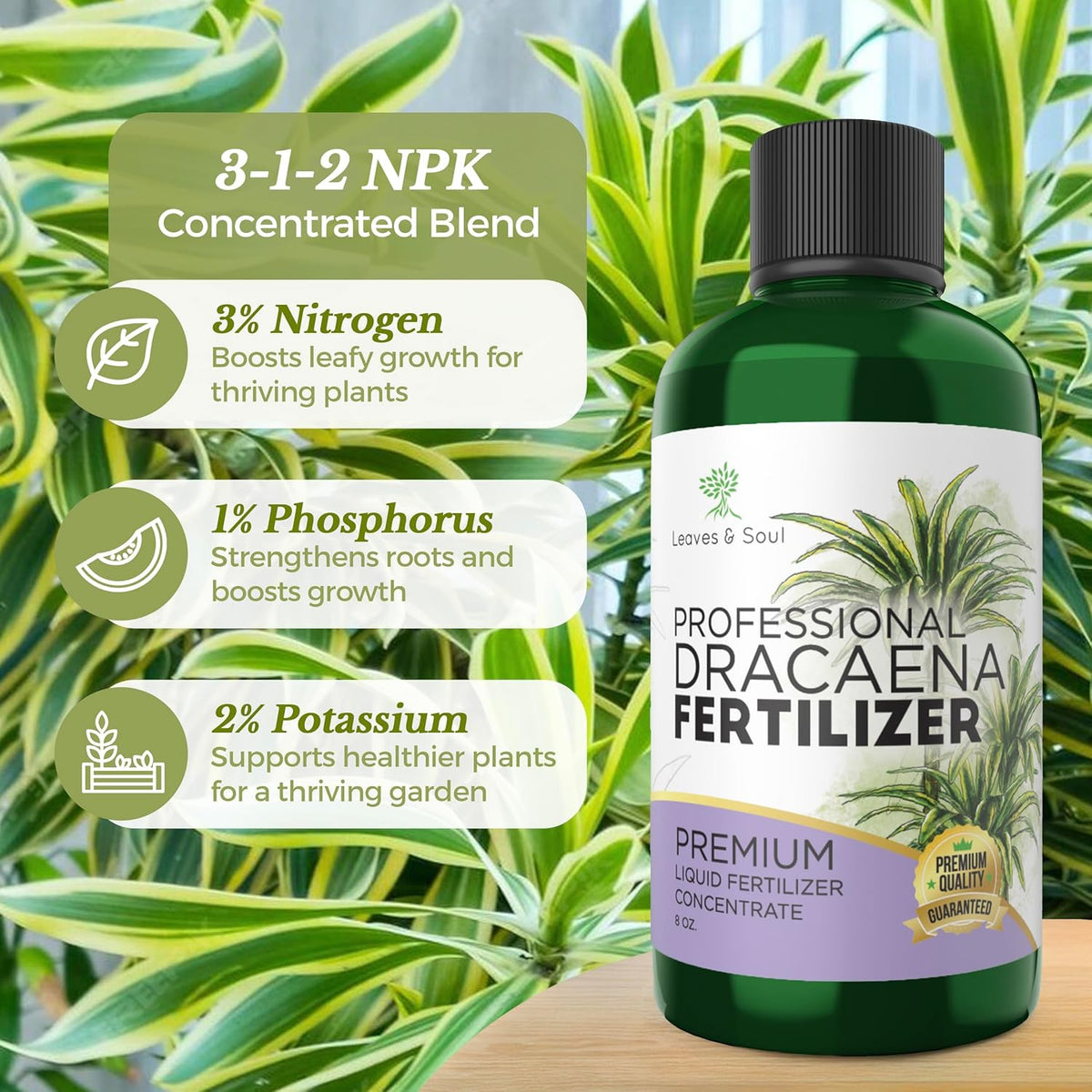 Professional Liquid Dracaena Plant Fertilizer | 3-1-2 Concentrate for Indoor Plants | Multi-Purpose