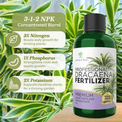 Professional Liquid Dracaena Plant Fertilizer | 3-1-2 Concentrate for Indoor Plants | Multi-Purpose