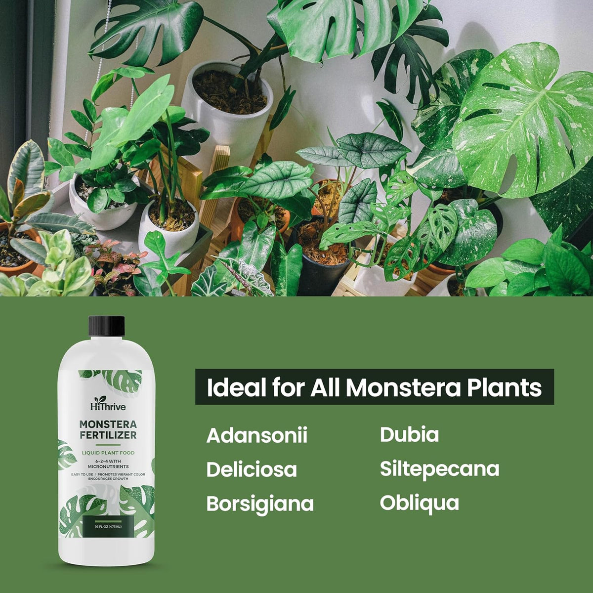 16oz Monstera Plant Food - Makes 96 Gallons of Monstera Fertilizer, Liquid Indoor Plant Fertilizer