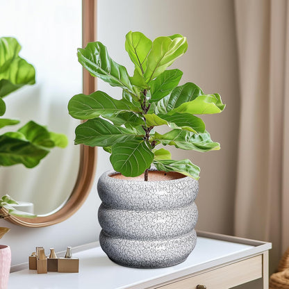 SQOWL Ceramic Pots for Plants - 8 Inch Plant Pot with Drainage Hole, Round Planter for Indoor