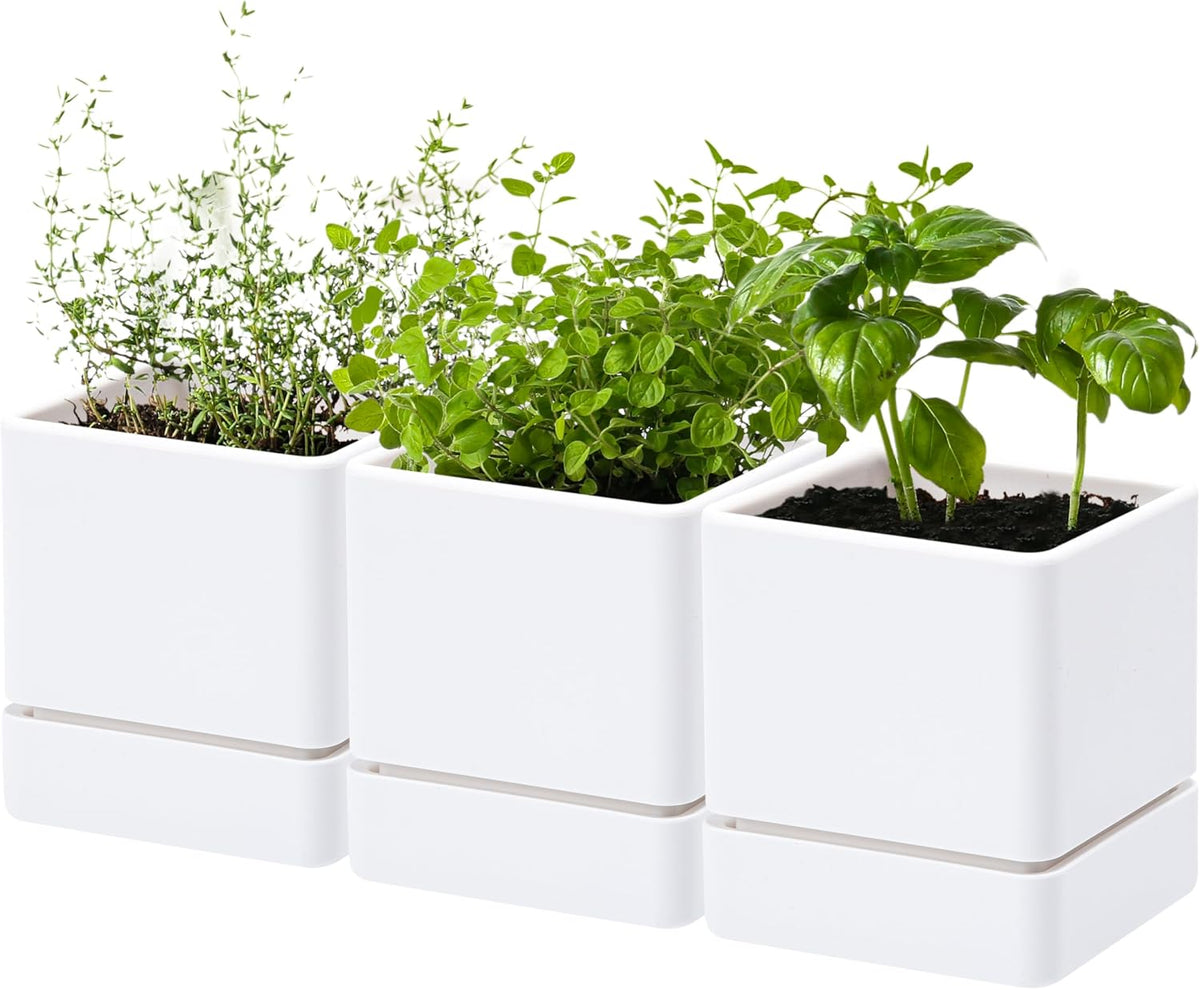 4 Inch Herb Planter Pot, Plastic Planter with Drainage Holes and Saucer, Modern Decorative