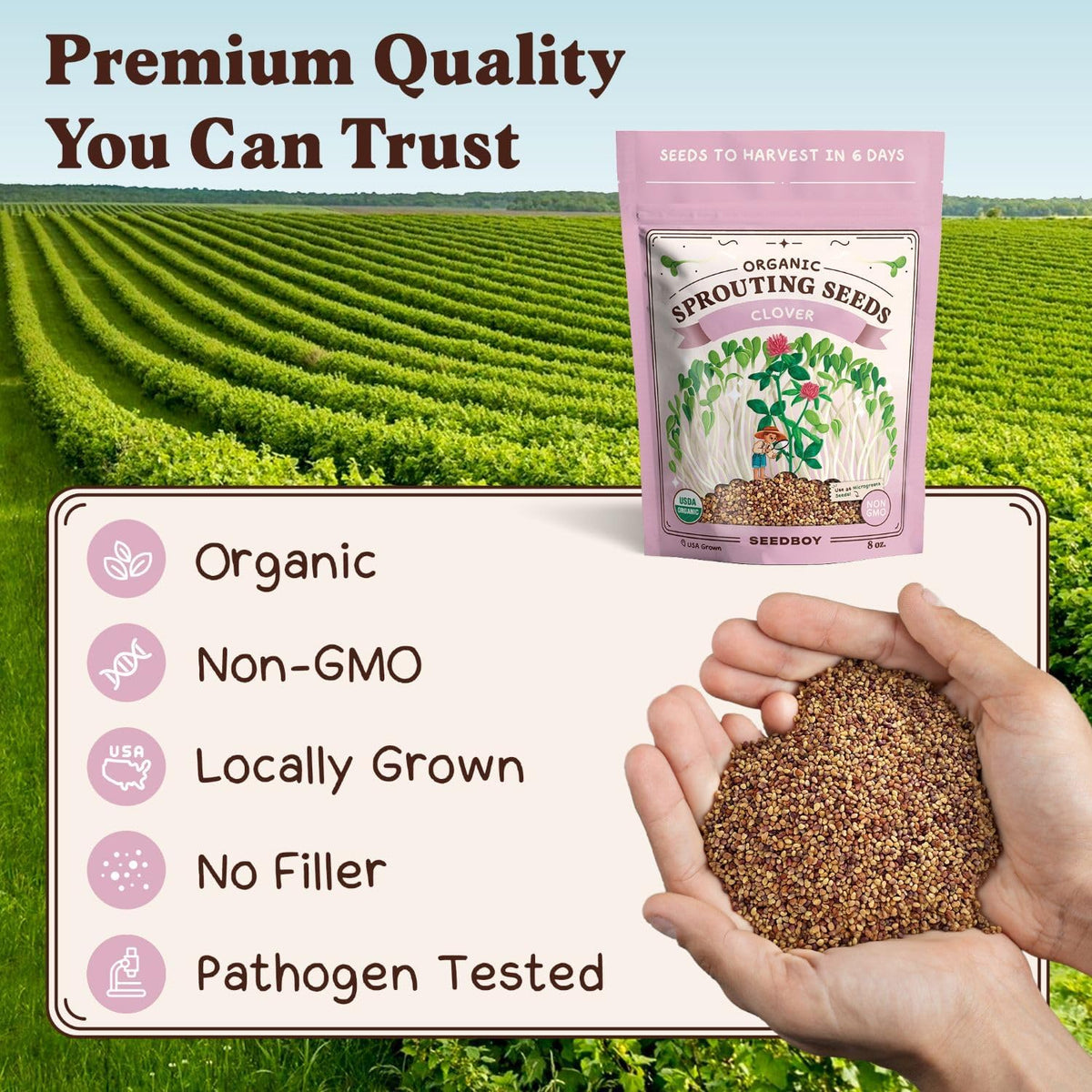 Seedboy Organic Non-GMO Clover Seeds for Sprouting - USA Grown Microgreens Sprouting Seeds - 8 oz