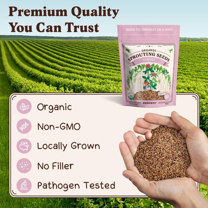 Seedboy Organic Non-GMO Clover Seeds for Sprouting - USA Grown Microgreens Sprouting Seeds - 8 oz