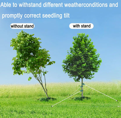 Heavy Duty Tree Stake Kits Steel Tree Stakes and Supports for Young Trees Against Bad Weather