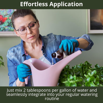 3-1-2 African Violet Fertilizer for Indoor Plants: Liquid Fertilizer with Essential Micronutrients