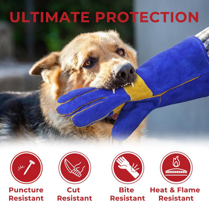 HANDLANDY Animal Handling Gloves, Falconry Cat Glove Bite Proof, Thorn Proof Rose Pruning Gardening