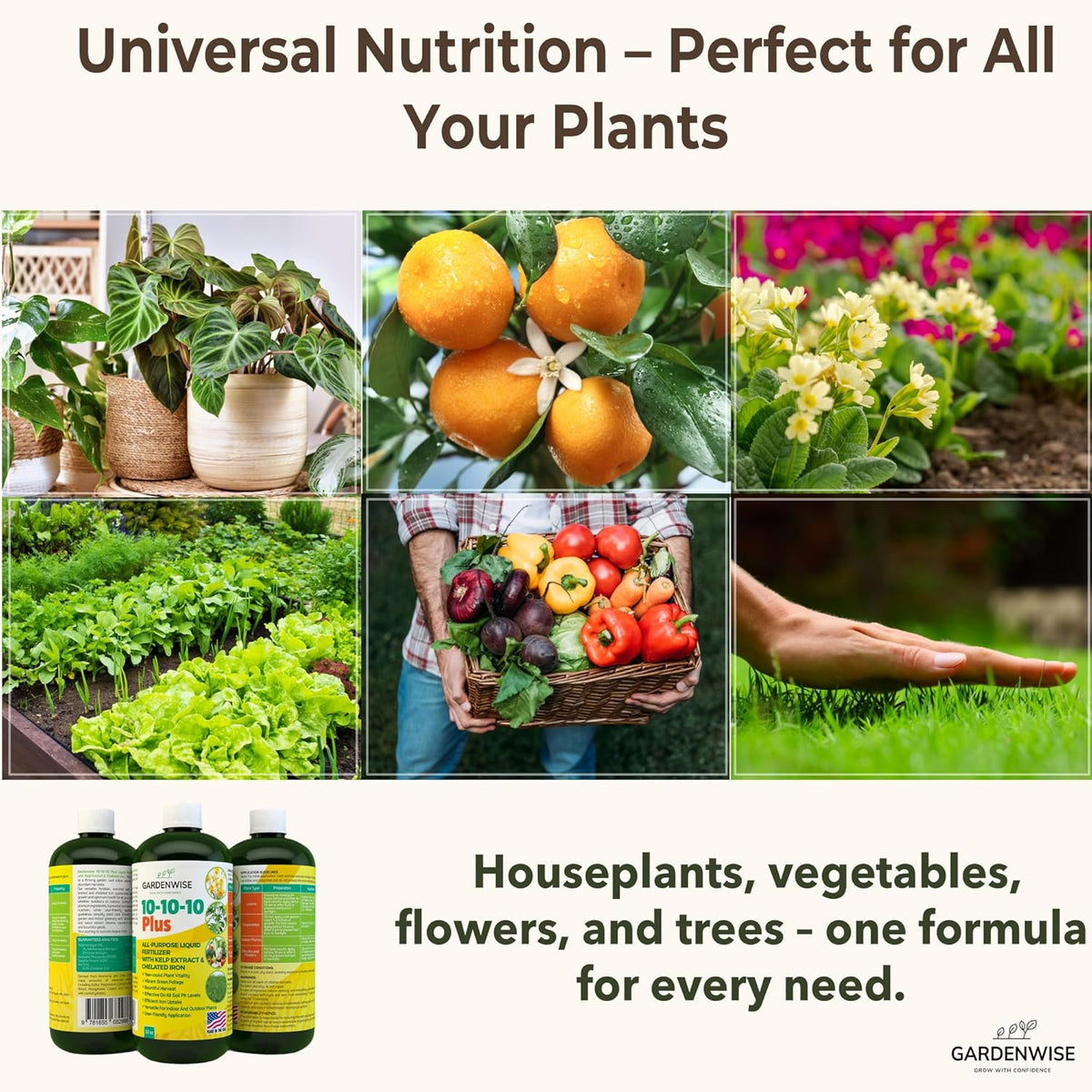 10-10-10 All Purpose Plant Food - Liquid Fertilizer with Seaweed Kelp & Iron - Indoor & Outdoor
