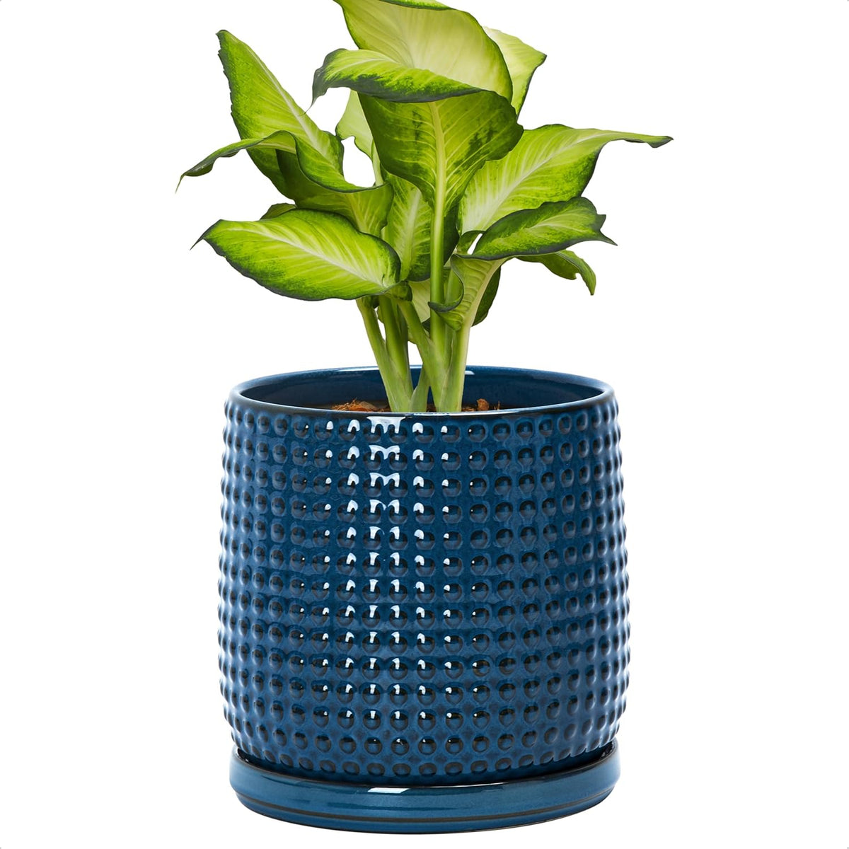 D'vine Dev 6 Inch Ceramic Beaded Stoneware Planter Pot - Flower Pot with Drainage Holes and Saucers