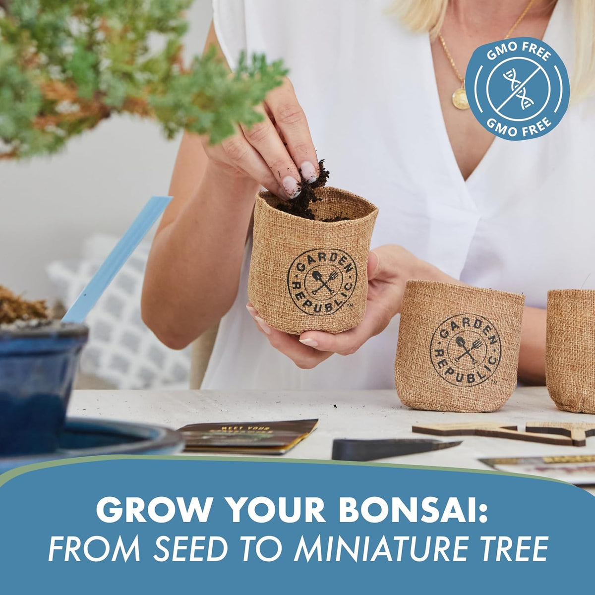 Garden Republic Medium Bonsai Tree Kit, Grow 3 Mini Bonsai Trees, Indoor Plant Growing - Starter