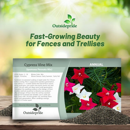 Outsidepride Mixed Cypress Vine Seeds - 200 Pcs Annual Flower Seeds with Nectar-Rich, Star-Shaped
