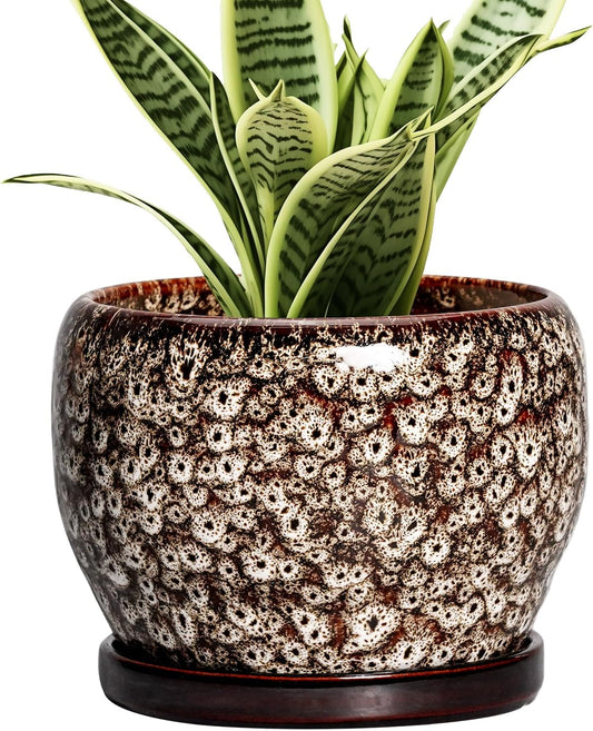 SQOWL Ceramic Plant Pots - 6 Inch Ceramic Planter for Indoor Outdoor, Small Flower Pots with