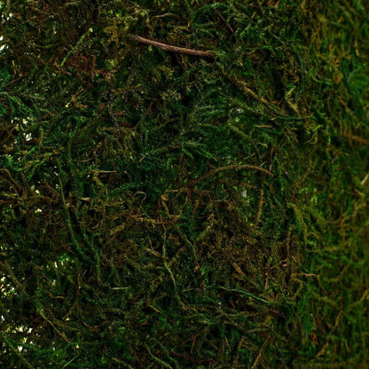 Byher Dried Moss Table Runner for Party Garden Decoration, Dark Green 30cm X 180cm ( 12" x 71" )
