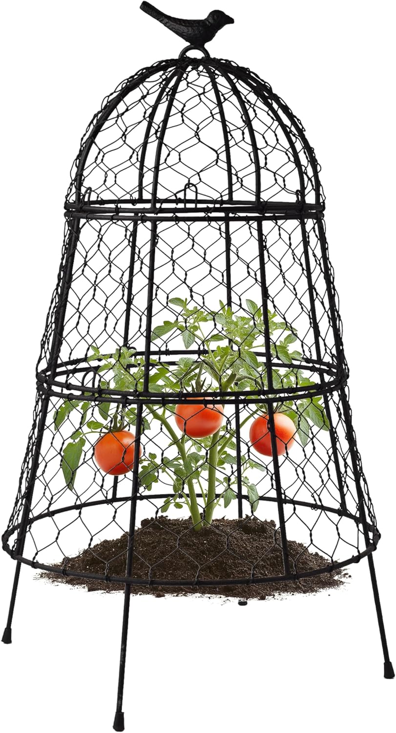 Pack of 6 Heavy-Duty Chicken Wire Plant Cloches – Rustproof Garden Protectors and Plant Cages for