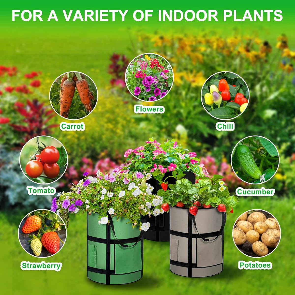 10 Gallon Potato Grow Bags with Viewing Window, 300G Nonwoven Garden Planting Pots, Heavy-Duty