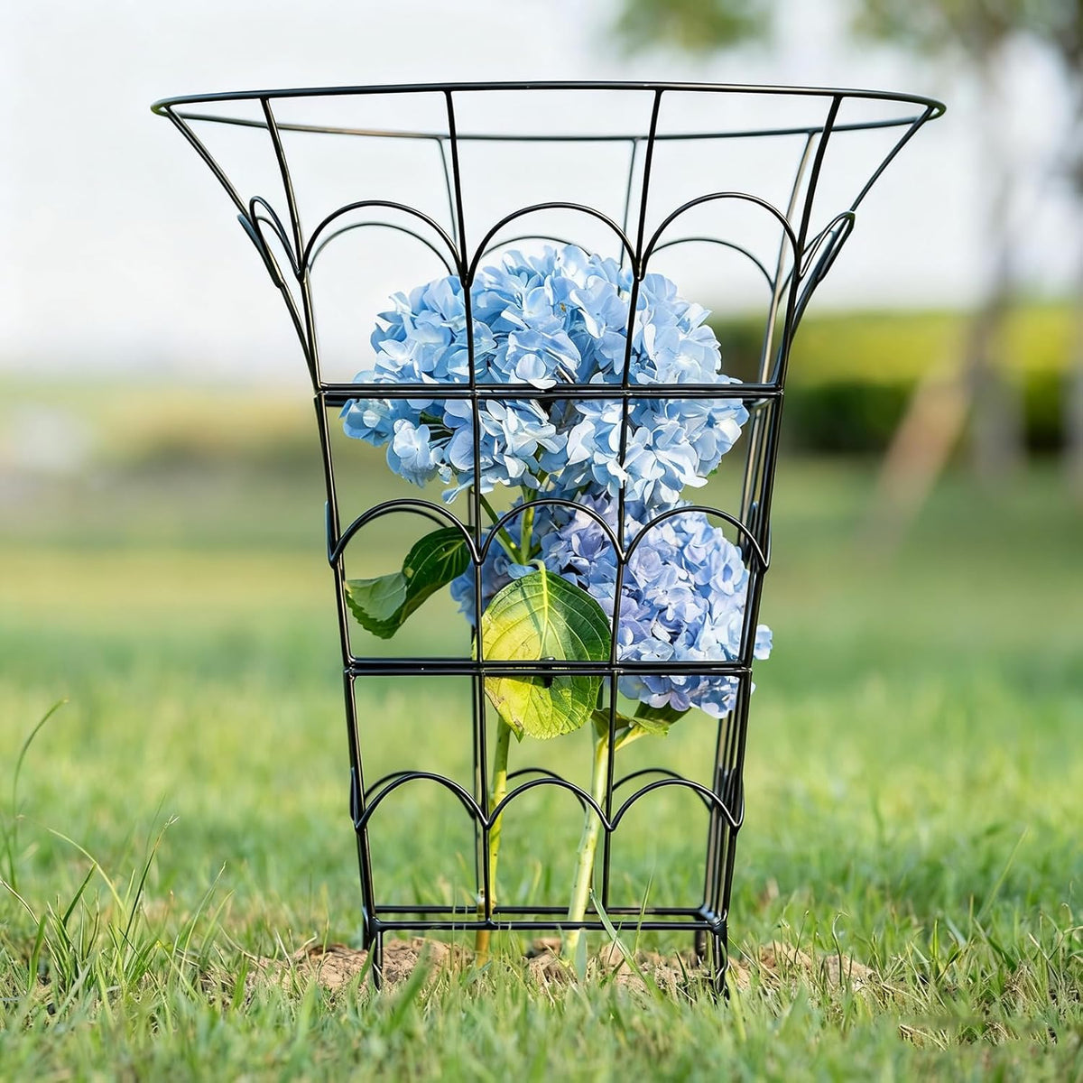 COOOXIM Peony Cages & Supports - Metal Plant Obelisk Trellis for Outdoor Use, 27.5 x 22 Inches