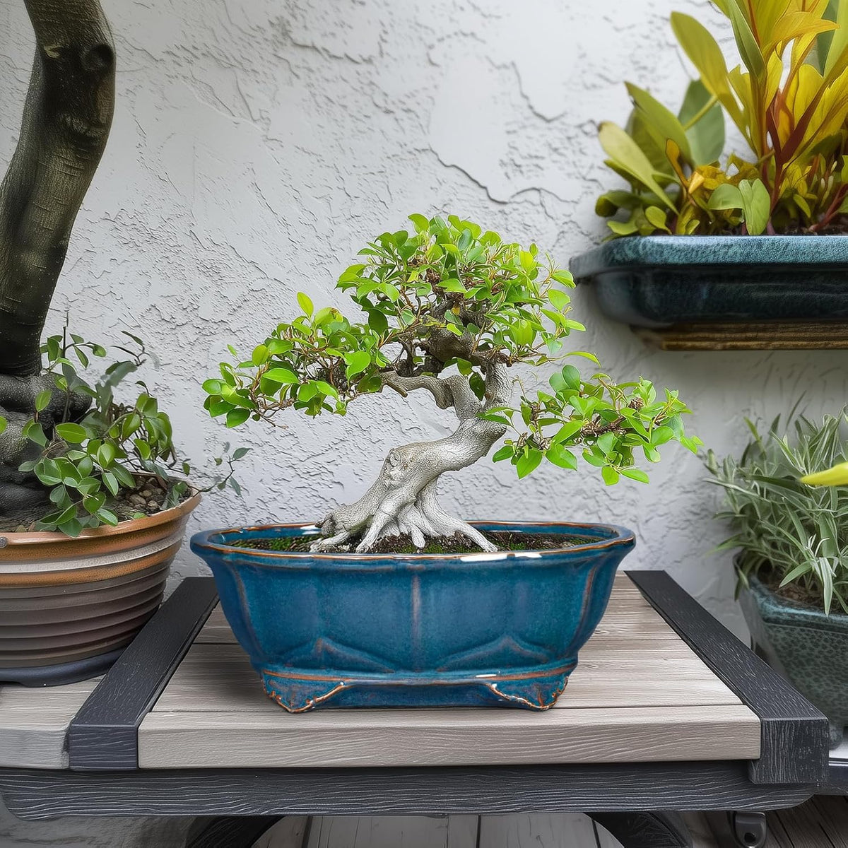 Bonsai Tree Pot - 11 Inch Ceramic Succulent Pots, Bonsai Planter for Indoor Outdoor, Decorative