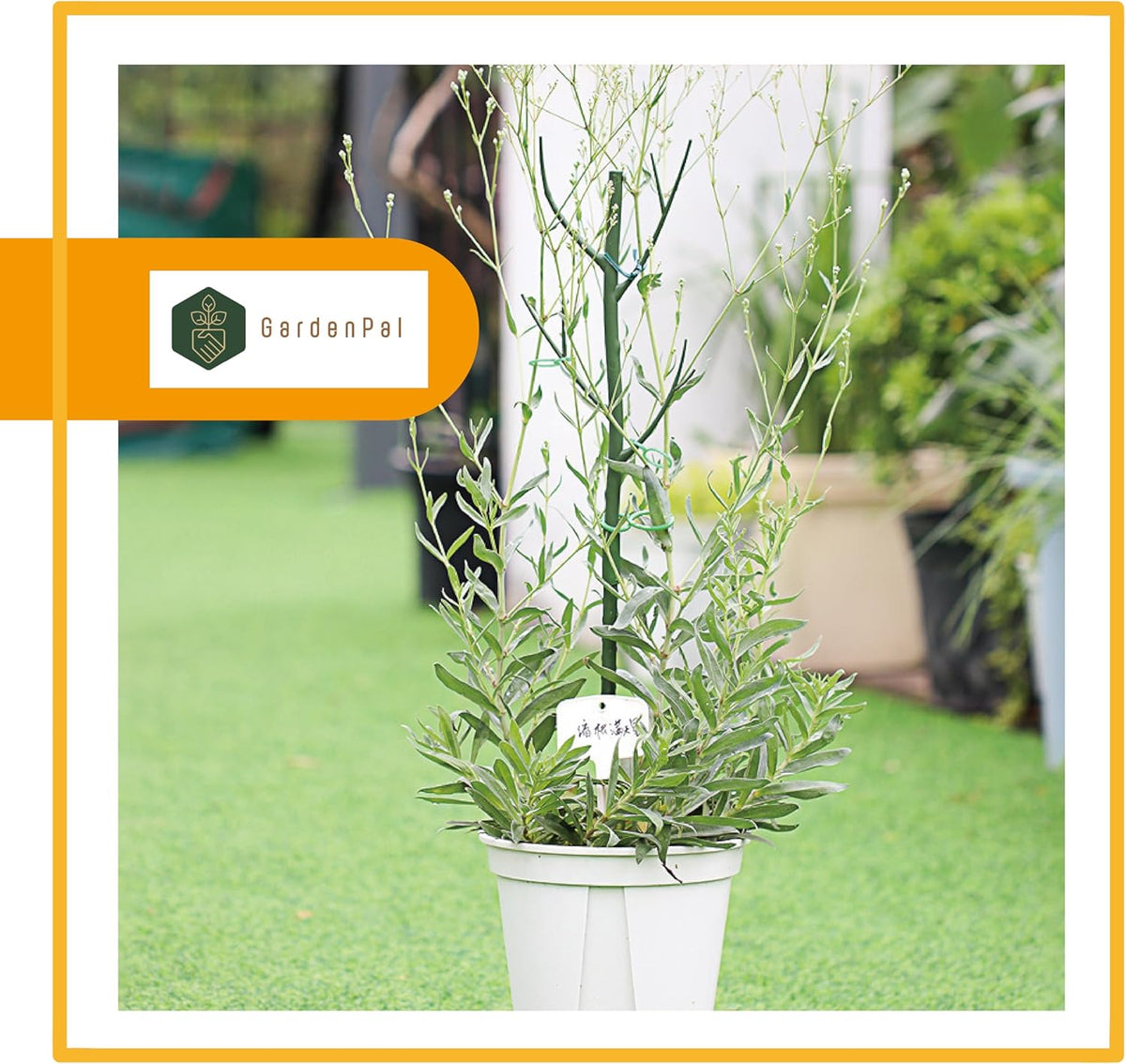 GardenPal 43.3" 6 Pack Detachable Twig Plant Support Stakes, Branch Sticks with Orchid Clips and