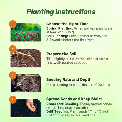 Outsidepride Gardenway Cover Crop Seeds - 10 lbs Nutrient-Rich Seed Mix for Soil Health Improvement