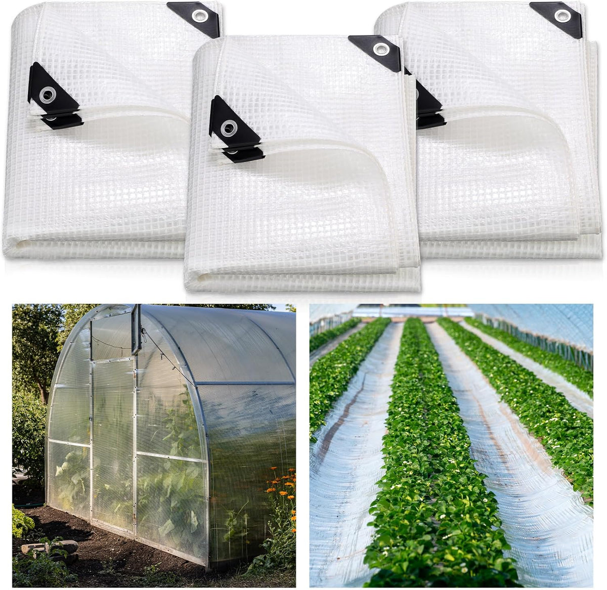 Berlune 3 Pack Clear Greenhouse Heavy Duty Tarp, 8 x 10 ft Clear Waterproof Cover, 14 Mil Plastic
