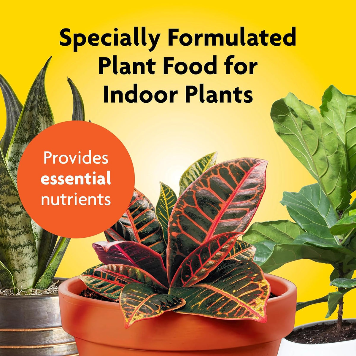 Miracle-Gro Indoor Potting Mix (6 qt.) and Indoor Plant Food (8 oz.) - Bundle for Growing and