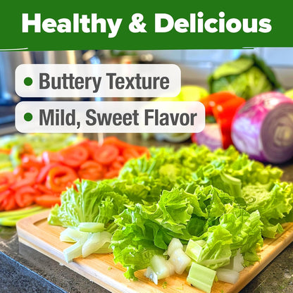 HOME GROWN Buttercrunch Lettuce Seed Pack - 3950 𝗡𝗢𝗡-𝗚𝗠𝗢 𝗨𝗦𝗔 Vegetable Seeds - Ideal Seeds