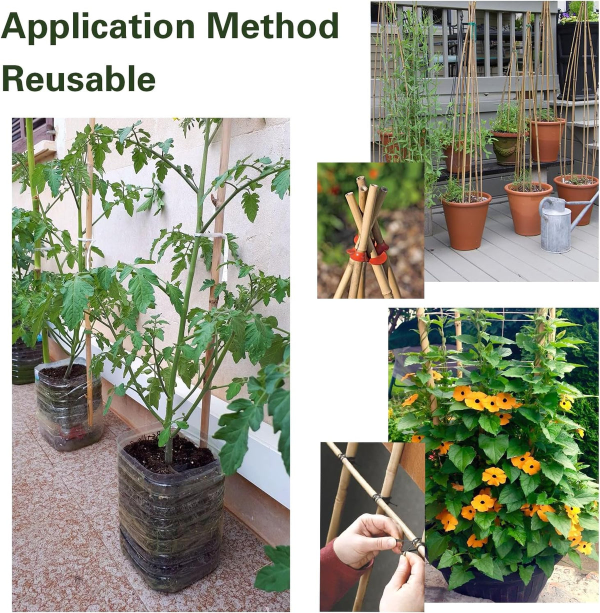 Bamboo Stakes 8 Feet, 96 inch Garden Stakes Multi-Purpose, Bamboo Plant Support Stakes for Tomatos