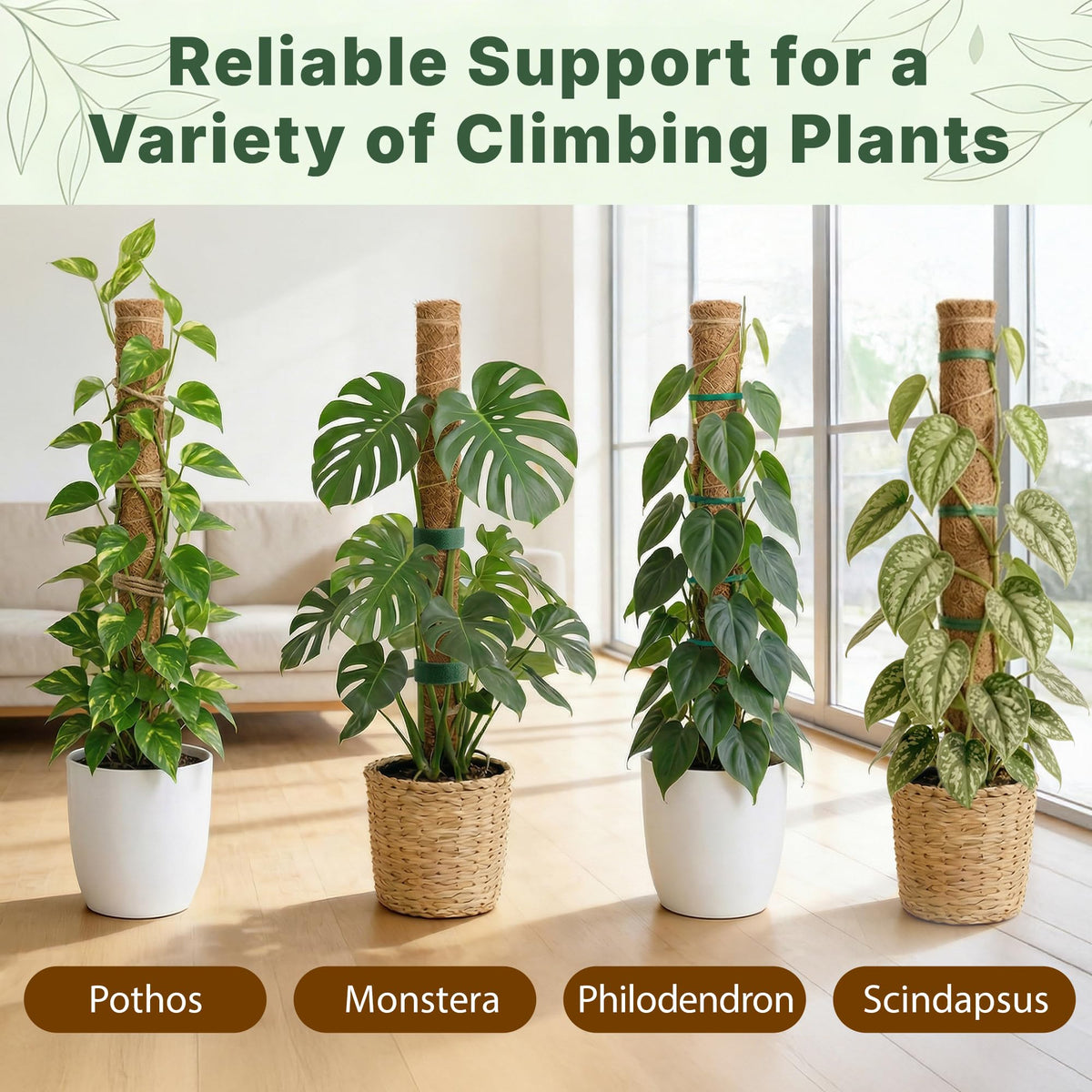 4 Pack 16" Moss Pole Monstera Plant Support - Stackable up to 48" - Plant Stakes for Indoor