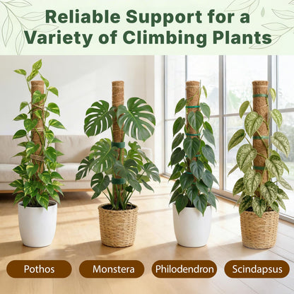 4 Pack 16" Moss Pole Monstera Plant Support - Stackable up to 48" - Plant Stakes for Indoor