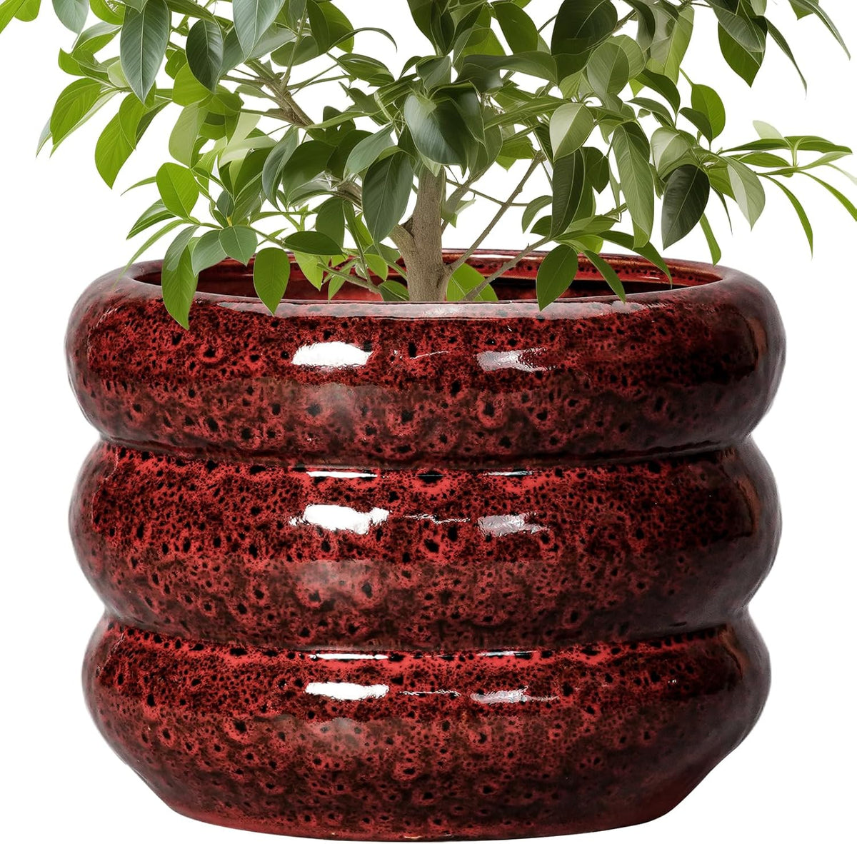 SQOWL 10 Inch Plant Pots - Ceramic Planter for Indoor Plants, Ceramic Plant Pot with Drainage Hole