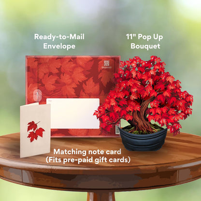 Freshcut Paper Pop Up Cards, Red Maple Tree, 12 Inch Life Sized Forever Flower Bouquet 3D Popup