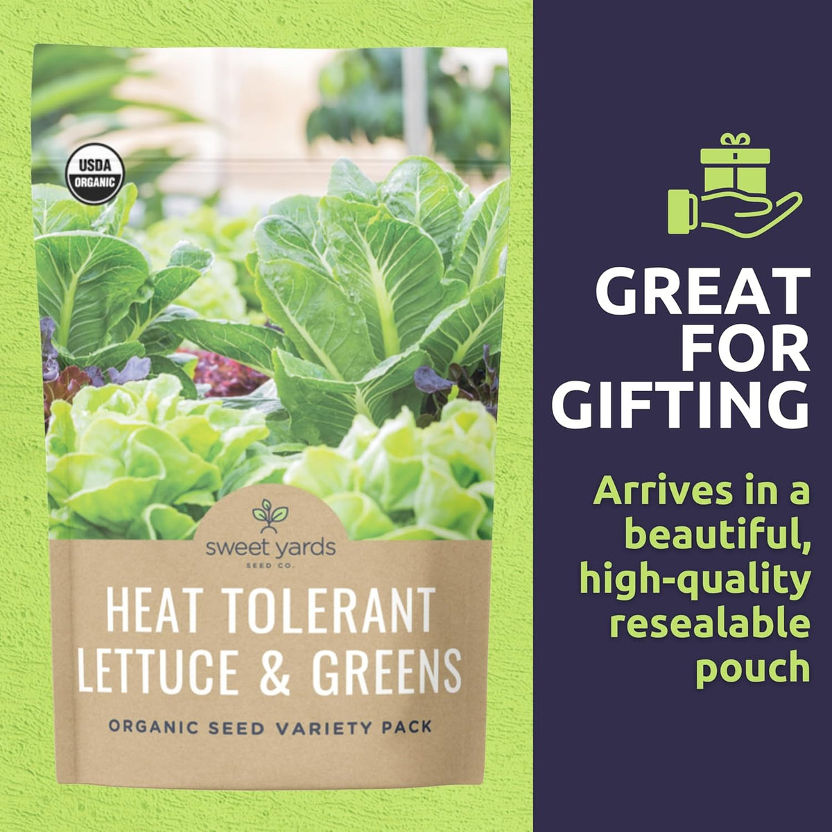 Organic Heat Tolerant Lettuce Seeds Variety Pack - 9 Individual Packs - 2025 Season - Galilee