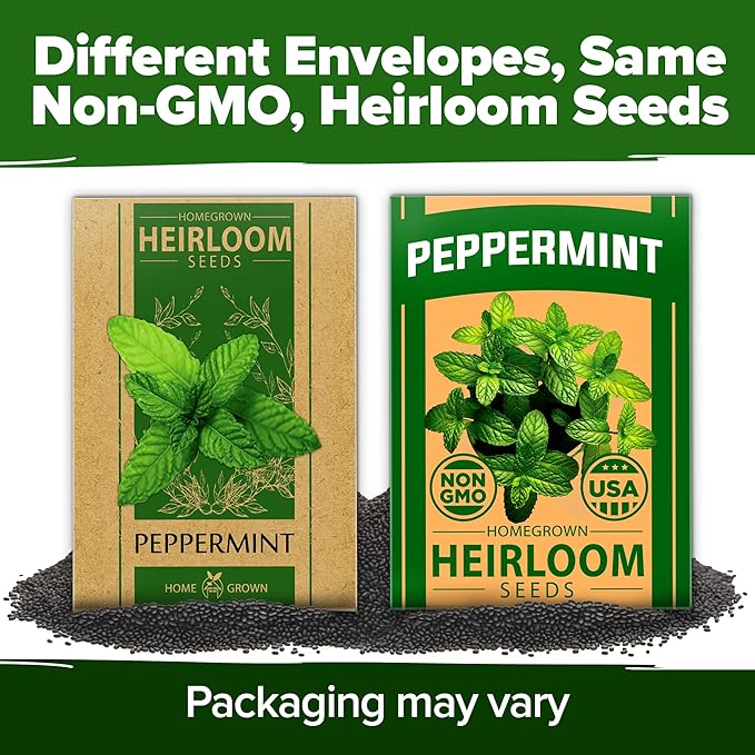 HOME GROWN 𝗨𝗦𝗔 𝗣𝗥𝗘𝗠𝗜𝗨𝗠 Peppermint Seeds Pack – 2,370 𝗡𝗢𝗡-𝗚𝗠𝗢 Heirloom Mint Seeds